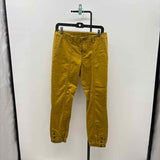 CABI Women's Size 4 Olive Solid Pants