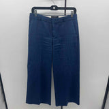 Banana Republic Women's Size 2 Blue Solid Pants