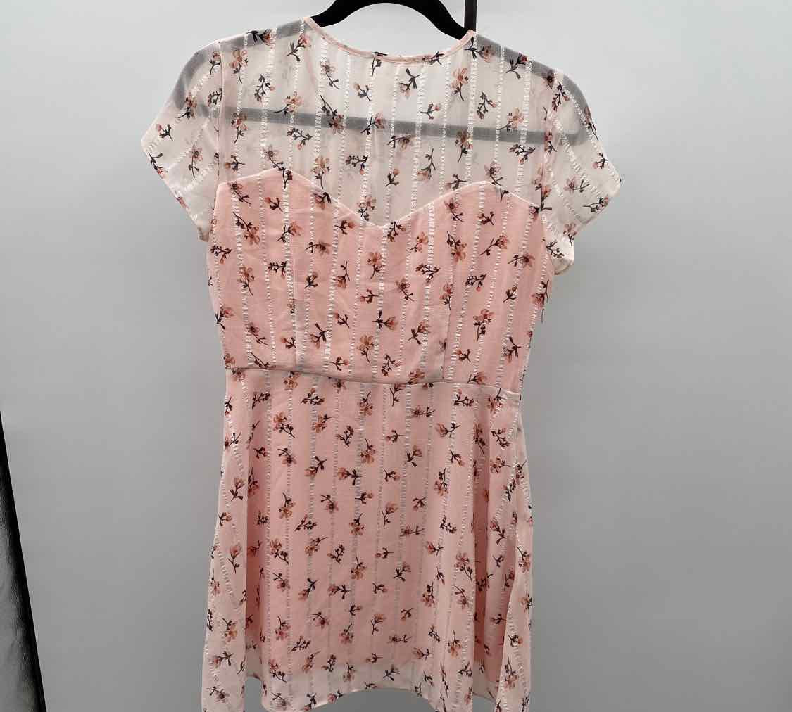 Line & Dot Women's Size 6 Blush Floral Dress