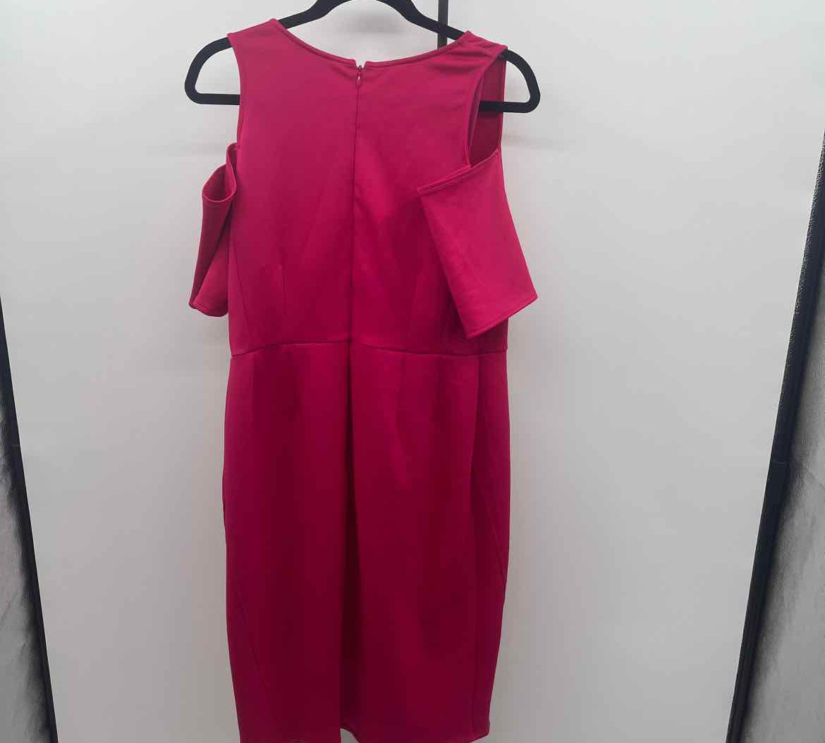 Lane Bryant Women's Size 14 Fuschia Solid Dress
