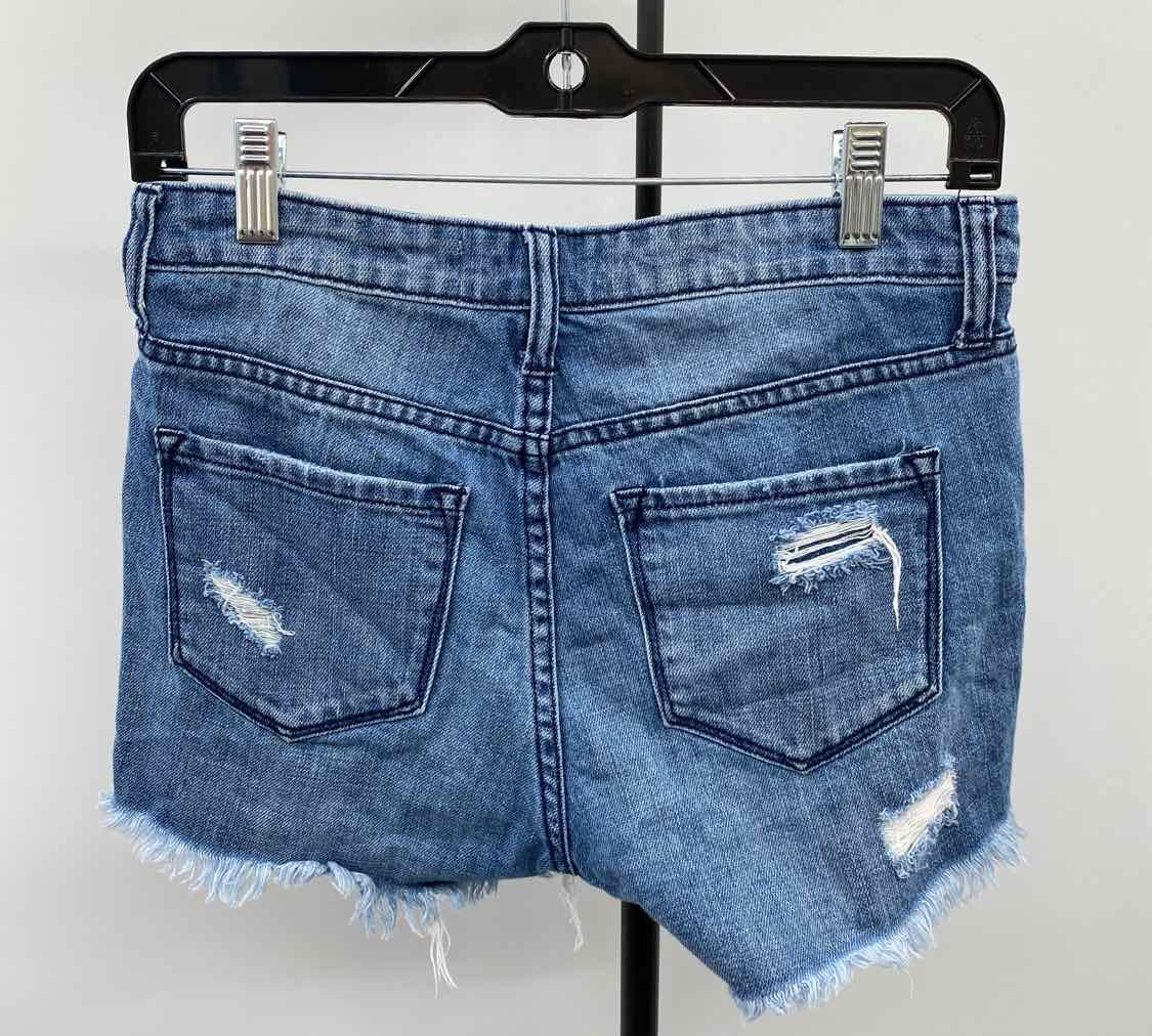 vervet Women's Size 2 Blue Distressed Shorts
