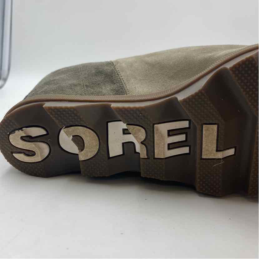 Slide image