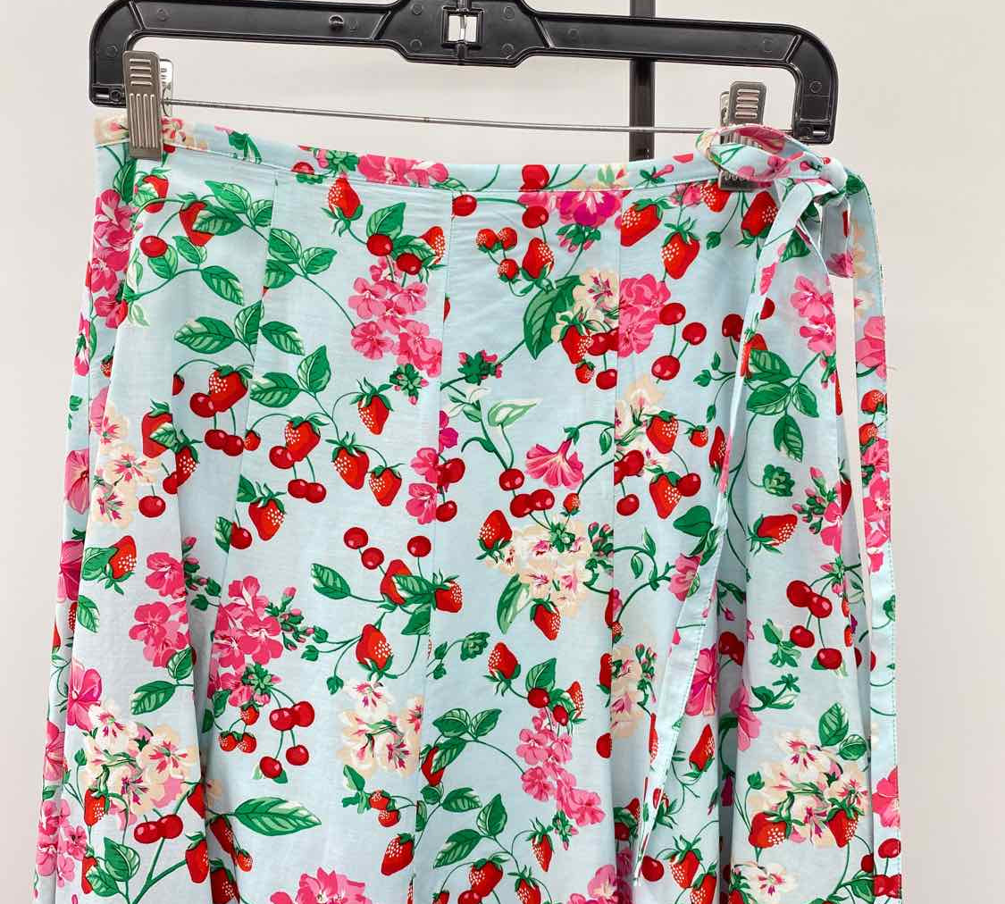 Ann Taylor Women's Size 2 Light Blue Strawberries Skirt